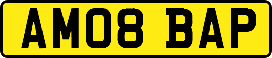 AM08BAP