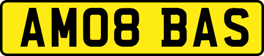 AM08BAS