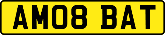 AM08BAT