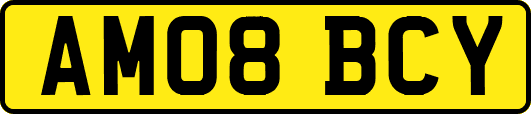 AM08BCY
