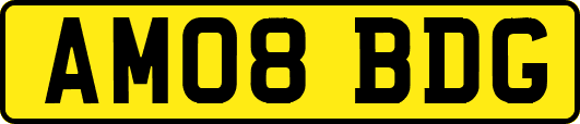 AM08BDG
