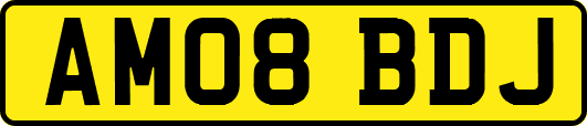 AM08BDJ