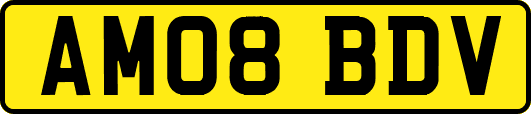 AM08BDV