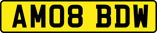 AM08BDW