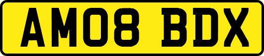 AM08BDX