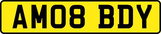AM08BDY