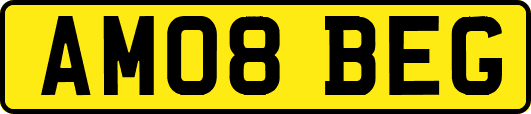 AM08BEG