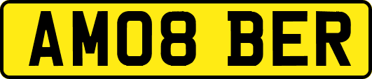 AM08BER