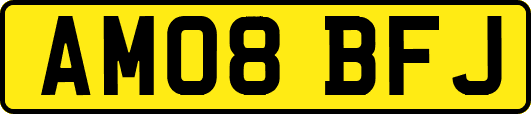 AM08BFJ
