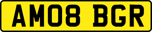 AM08BGR
