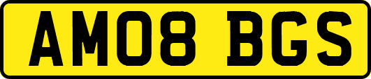 AM08BGS