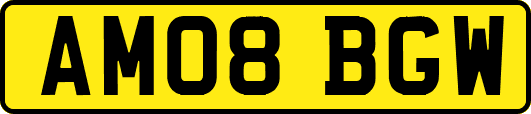 AM08BGW