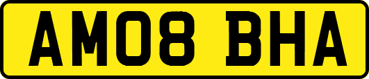 AM08BHA