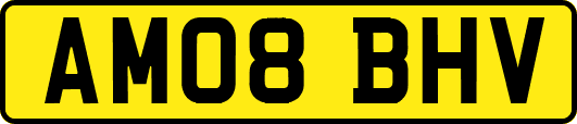 AM08BHV