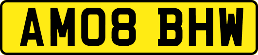 AM08BHW