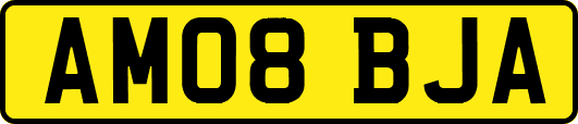 AM08BJA