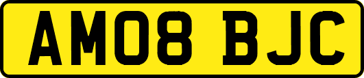 AM08BJC