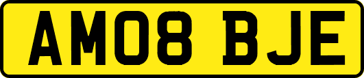 AM08BJE