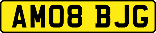 AM08BJG