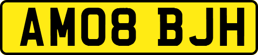 AM08BJH