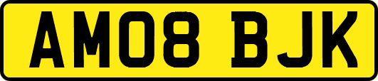 AM08BJK