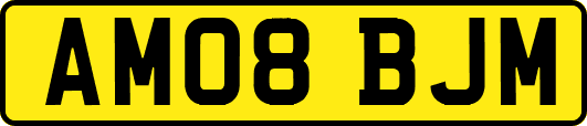 AM08BJM