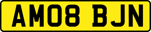 AM08BJN