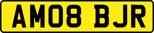 AM08BJR