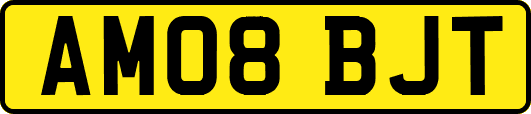 AM08BJT