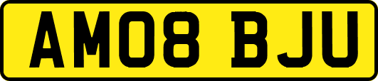 AM08BJU