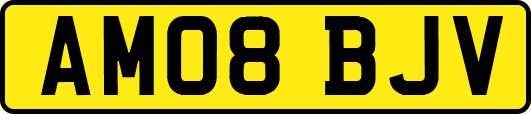 AM08BJV