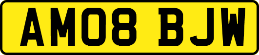 AM08BJW