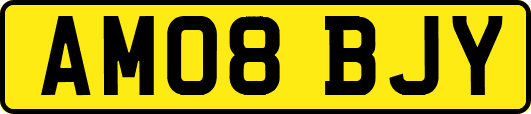 AM08BJY