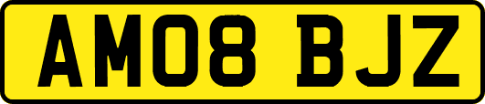 AM08BJZ