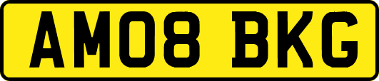 AM08BKG