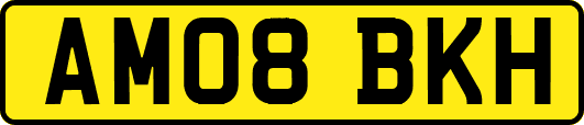 AM08BKH