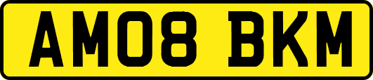 AM08BKM