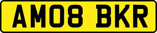 AM08BKR
