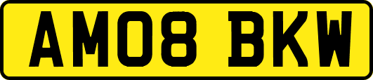 AM08BKW