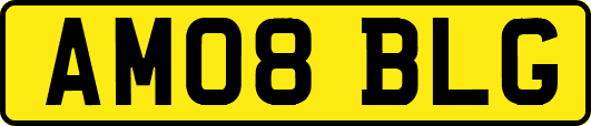 AM08BLG