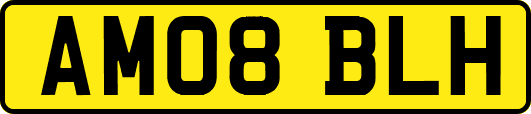 AM08BLH