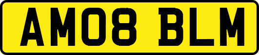 AM08BLM