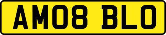 AM08BLO