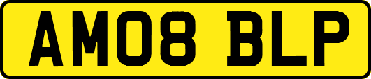 AM08BLP