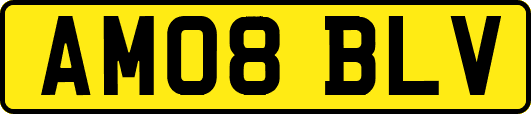 AM08BLV