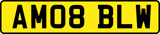 AM08BLW