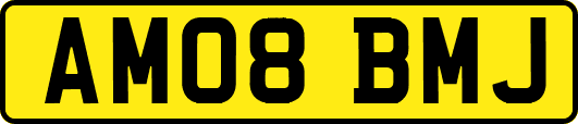 AM08BMJ