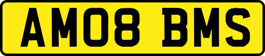 AM08BMS