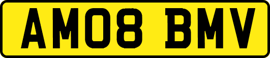 AM08BMV
