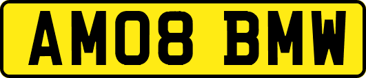 AM08BMW
